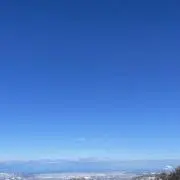 しーの画像