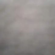 てての画像
