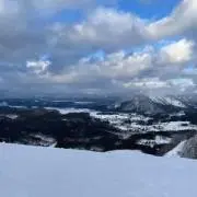 Utaの画像