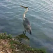 eee