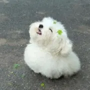 mの画像