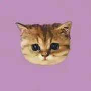 mmの画像