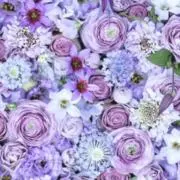hana✳︎の画像