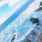 との画像