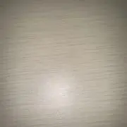 リス