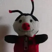 シマキョウの画像