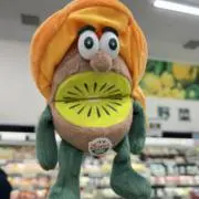 ホワイトチョコの画像