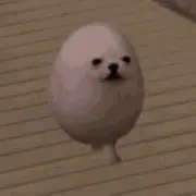 ぬあの画像