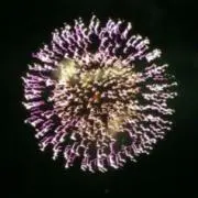 夜空の花火！！の画像