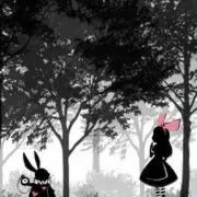 紫苑の画像