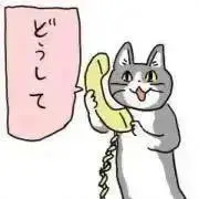 ちーにゃっつ/自己紹介文をご覧下さい。の画像
