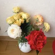 ななさん