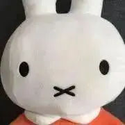 うさこ　即購入OKですの画像