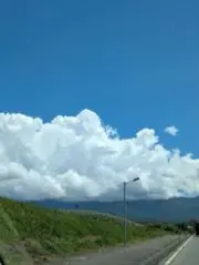 響人松木