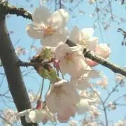 nn06の画像