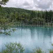 しーの画像