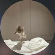 桃の画像