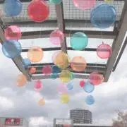 こここ【匿名配送】の画像