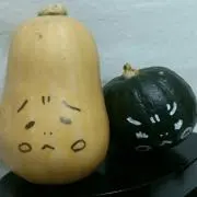 ハルヒマスの画像