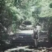 Sakiの画像