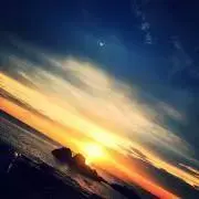 あの画像