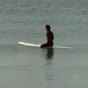 yamatoの画像