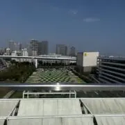 あきの画像