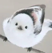 すみっこさんの画像