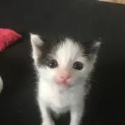 ヒロミの画像