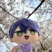 も