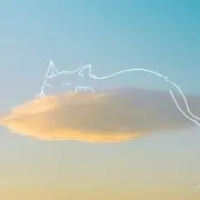 ゆるたの画像