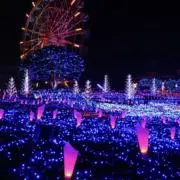 buの画像