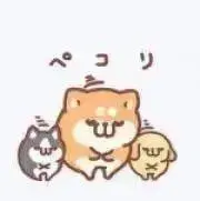 ボンレス