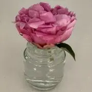ワッフル