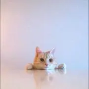YUNの画像