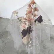春の画像
