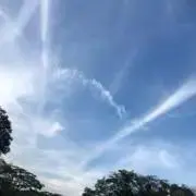 とらおの画像