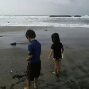 ゆき