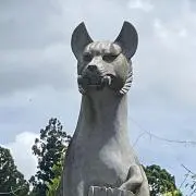 だいちむの画像