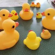 ちゃまの画像