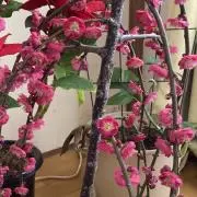 ☆愛翔☆