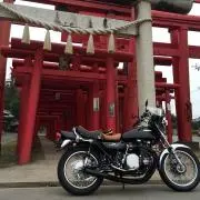 Yuの画像