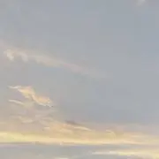 かの画像