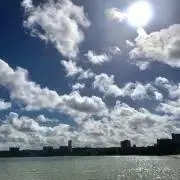 ノブ小池の画像