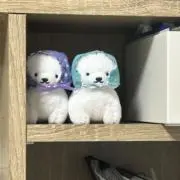 Poco