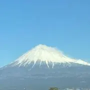 りっふぃーの画像