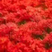 ちー☆プロフ必読の画像