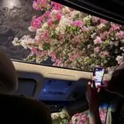 Rの画像