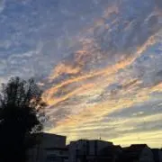 そばの画像