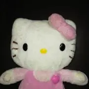 ライムの画像